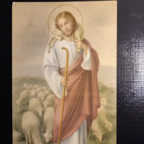 Jesus mit Schafe - Künstlerkarte 400330 gr D