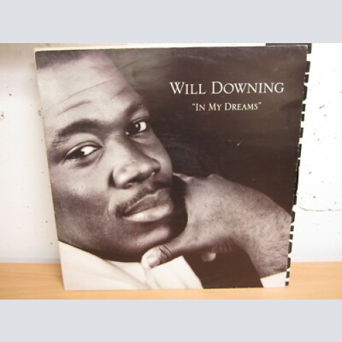 MS  /  Will Downing ?– In My Dreams /   UK  PRESS / RAR /