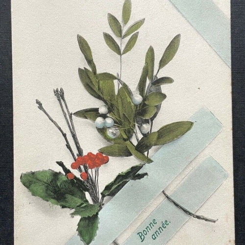 Bonne année Gutes Neues Jahr Neujahr Strauch Ast Beeren Frankreich 410165 TH