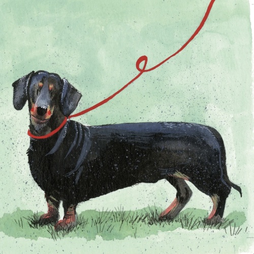 Alex Clark  Dachshund Dachs Grußkarte  140x140 mm incl. Umschlag     0001