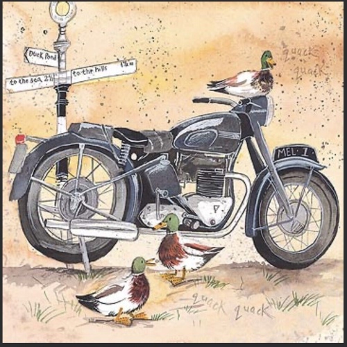 Alex Clark Karte Motorrad mit Enten  140x140 mm incl. Umschlag  Motorrad 0003