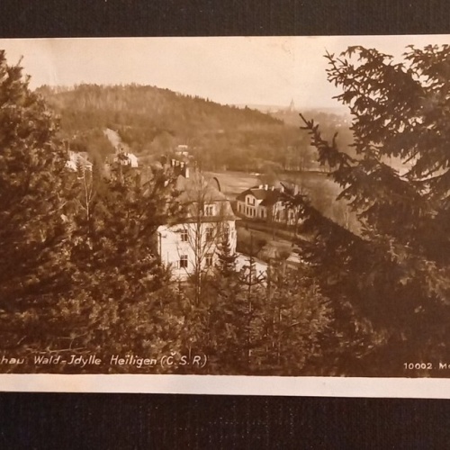 Tschau Wald Idylle 800122 Ga G