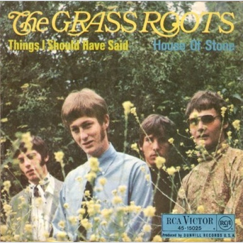 The Grass Roots - Things I Should Have Said (7", Single, Mono)