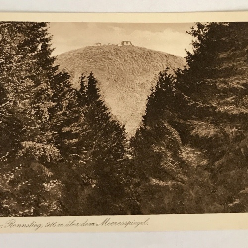 AK, Sachsen, Inselsberg, Rennstieg, Berg (40050 BW)