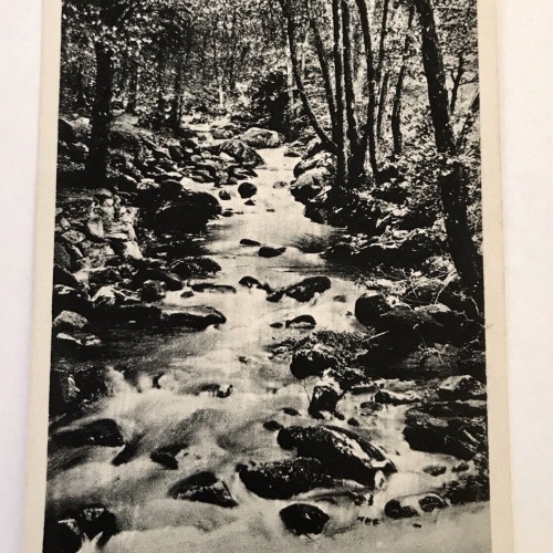 AK, Sachsen, Jisenburg, Harz, Ilsenfälle (40048 BW)