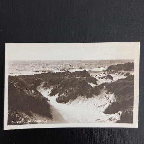 Ansichtskarte Klitparti ved Sondervig 400459 gr F