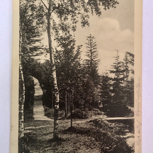 Ak, Thüringen, Tambach, Dietharz, Wald (40074 BW) G