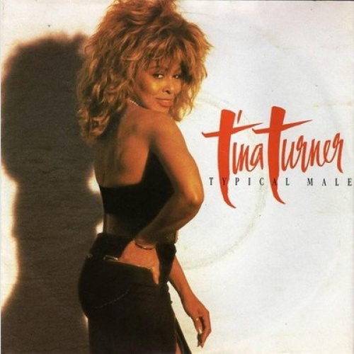Tina Turner - Typical Male (7", Single)