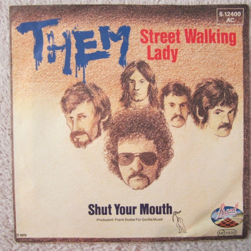 Single / THEM / STREET WALKING LADY  / 1978  / DE PRESS / RARITÄT /