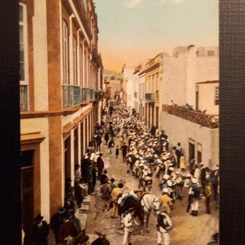 Las Palmas Calle Pelota 650231 Ga E