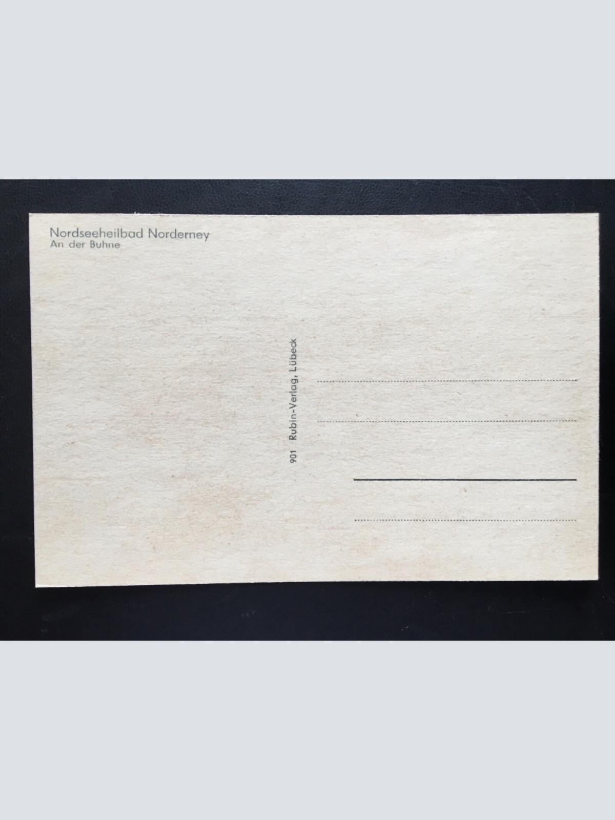 Nordseeheilbad Norderney - An der Buhne - Seevögel 180145 TH