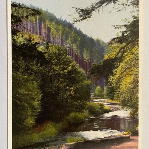 Partie Im Schwarzwald Thüringen Wald Fluss Baum Deutschland 180194 K TH