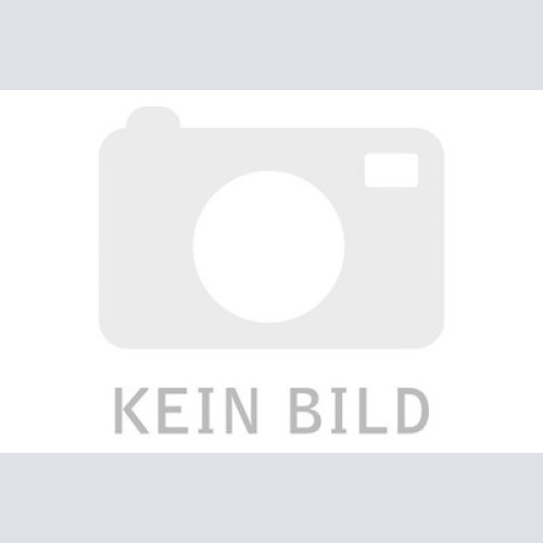 Hefte für Gegenwartskunst SPRINGERIN: Band XI, Heft 3: Herbst 2005 +Abb