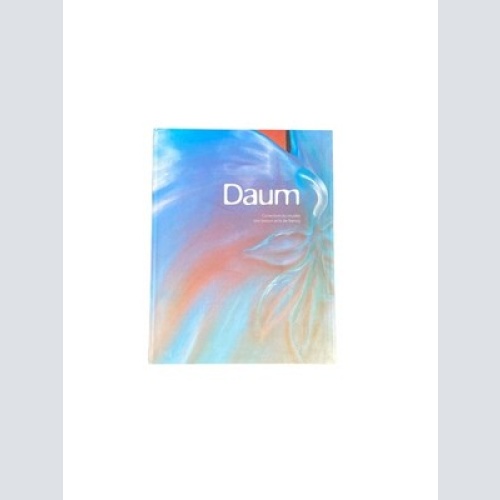 4647 Benoît Martin DAUM COLLECTION DU MUSEE DES BEAUX ARTS DE NANCY. COLLECTION