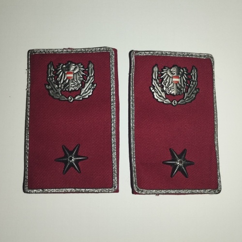 Dienstgrade Distinktionen Polizei Österreich Inspektor, 1 Paar NEU